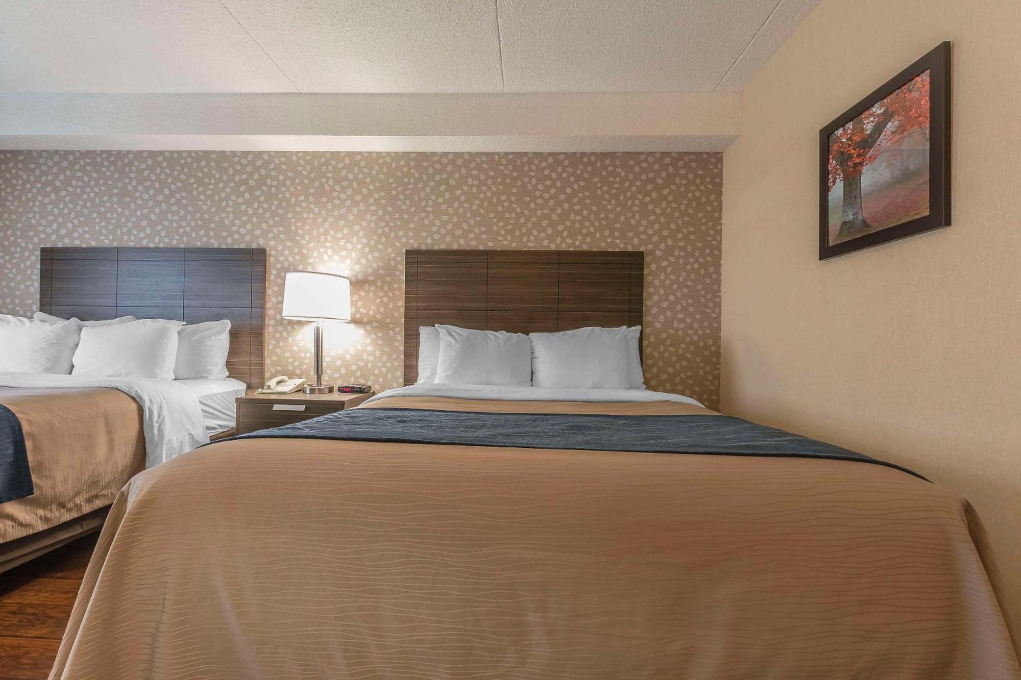 Comfort Inn Леви Экстерьер фото